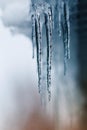 Transparent icicles hanging from a winter in Sunny winter day Royalty Free Stock Photo