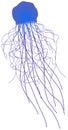 Transparent jelly-like animal with long tentacles. Blue jellyfish, marine life representative