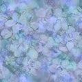 Delicate watercolor floral seamless pattern Transparent layered blurred roses in a blue, green and lilac tones Royalty Free Stock Photo