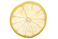 Transparent Lemon Slice
