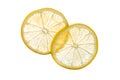 Transparent Lemon Slices