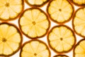 Transparent lemon slices on a white background