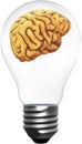 Intelligence, Ideas, Innovation, Brains, Isolated