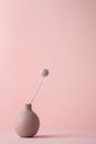 Transparent little vase with dried flower on a neutral pink background in shadows. Minimalist composition background