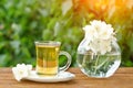 Transparent mug of tea and a vase with jasmine. Greens on the ba Royalty Free Stock Photo