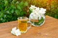 Transparent mug of tea and a vase with jasmine. Greens on the ba Royalty Free Stock Photo