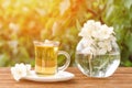 Transparent mug of tea and a vase with jasmine on a wooden table, greens on the background Royalty Free Stock Photo