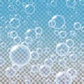 Transparent Multicolored Soap Bubbles Set. Royalty Free Stock Photo