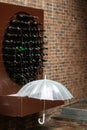 Transparent open umbrella