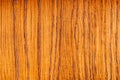 Transparent paint polish. Ð¡lose-up Oak Texture with natural wood grain patterns. Smooth wooden surface for the design of facades Royalty Free Stock Photo