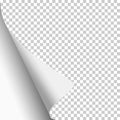 Transparent paper sheet with curled corner and white next page. Template paper design. Vector illustration Royalty Free Stock Photo