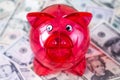 A transparent pig piggy bank on a background of bills of dollars Royalty Free Stock Photo