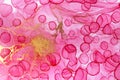 Transparent pink and gold watercolor drops texture. Bubbles imitation.