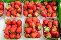 Transparent plastic boxes with fresh organic red strawberries displayed for sale at a street food market Royalty Free Stock Photo