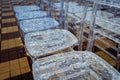 Transparent plastic chairs with rain drops on the surface. Bad weather spoiled the ceremony in the open air Royalty Free Stock Photo