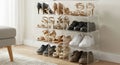 Transparent plastic shoe rack holds an array of footwear, arranged in a 3x4 grid, Royalty Free Stock Photo