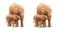 Transparent PNG of Baby and Mother Elephant Isolated With and Without A Shadow on White with Transparent PNG Also Available. Royalty Free Stock Photo