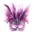 Transparent or PNG Image of Colorful Feathered Mask Royalty Free Stock Photo