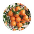 Transparent or PNG Image of Stack of Oranges in a Plate Royalty Free Stock Photo