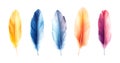 Five colorful feathers isolated on a white background artwork Royalty Free Stock Photo