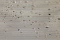 Transparent Polycarbonate plastic sheet with drops, background t