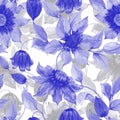 Transparent purple clematis flowers on climbing twigs against white background. Seamless floral pattern. Watercolor painting. Royalty Free Stock Photo