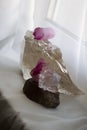 Transparent quartz crystal and purple crystals