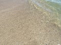 Transparent sea wave on the sand with shells. Summer. Water.