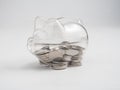 Transparent see through piggy bank