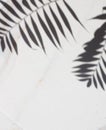 Transparent shadow of tropical leaves. Minimal background shadow palm leaves on the white marble. blogger content Royalty Free Stock Photo