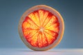 slice of grapefruit Royalty Free Stock Photo