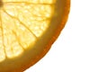 Transparent slice of an orange, close-up Royalty Free Stock Photo