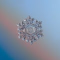 Transparent snowflake glittering on smooth gradient background