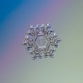 Transparent snowflake glittering on smooth gradient background