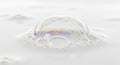 Transparent Soap Bubble on White Background Royalty Free Stock Photo