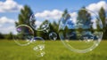 Transparent Soap Bubbles Floating in a Sunny Green Field with Trees and Blue Sky Royalty Free Stock Photo