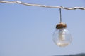 Transparent sphere and light bulb with savings inside. Hanging with cable