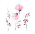 Transparent sweet pea. Watercolor floral set of elements. branches, leaves, flowers. Isolated artwork on white Royalty Free Stock Photo