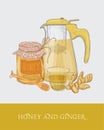 Transparent teapot or pitcher with strainer, cup of tea, jar of honey, ginger root and dipper hand drawn in vintage Royalty Free Stock Photo