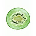 Transparent thin slice kiwi Royalty Free Stock Photo