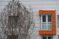 Transparent tree with bare branches and the facade of a house with a window with an orange platband, winter, a little snow Royalty Free Stock Photo