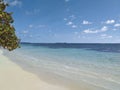 Transparent and turquoise waters of the Caribbean Sea. White sand beach and tropical blue sky. Paradise landscape. Martinique,