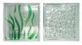 Transparent two green square bathroom glass block cube in white background with green seaweed pattern rough texture .Use for objec