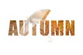 A transparent umbrella lies on the road in yellow autumn leaves in the text word autumn on a white background, autumn