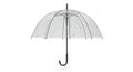 Transparent umbrella with raindrop patterns on its canopy. The dome-shaped Royalty Free Stock Photo