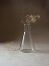 Transparent vase of dry flowers of baby`s-breath Royalty Free Stock Photo