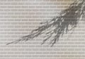 Transparent Vector Shadow of Tree on Brick Wall. Decorative Overlay Effect for Mockups, Posters