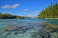 Transparent view of Natural Pool Piscine Naturelle with green pine trees & turquoise water in Ile des Pins island, New Caledonia