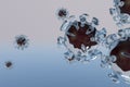a transparent virus molecules are made in 3D