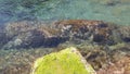 Transparent warm water all year round on the rocky Algerian coast